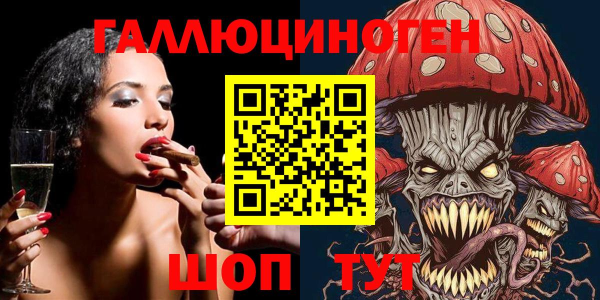 Галлюциногенные грибы Psilocybe Минеральные Воды
