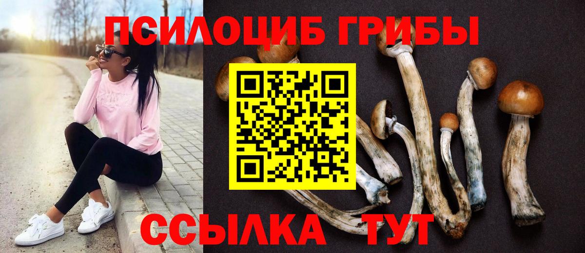 Галлюциногенные грибы мицелий Минеральные Воды