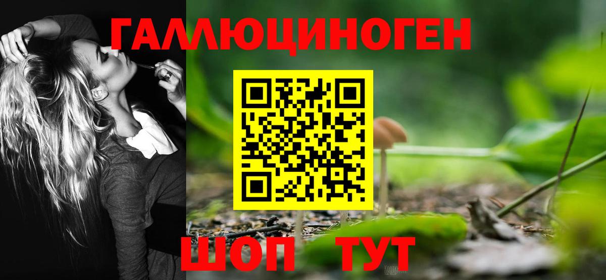 Галлюциногенные грибы Psilocybe  Псилоцибиновые грибы мицелий  Вход с VPN  Минеральные Воды 